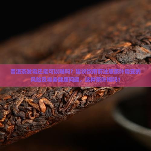 起霉的普洱茶可以喝吗