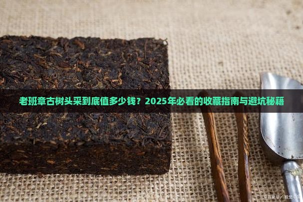 老班章古树头采年产量