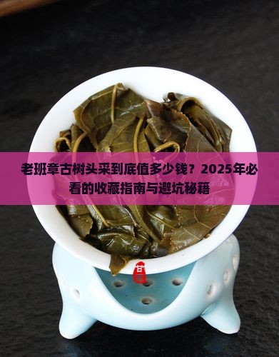 老班章古树头采年产量