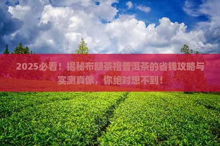 布朗茶祖普洱茶