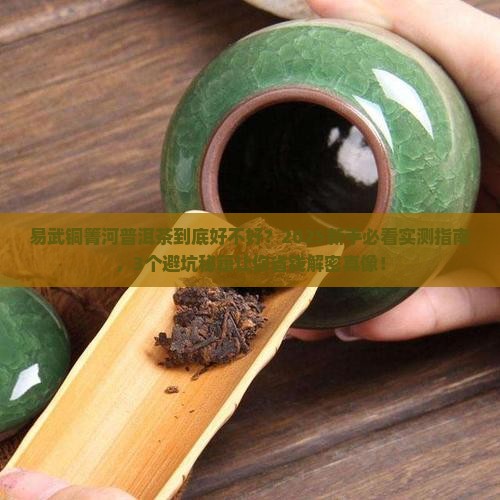 易武铜箐河普洱茶好吗