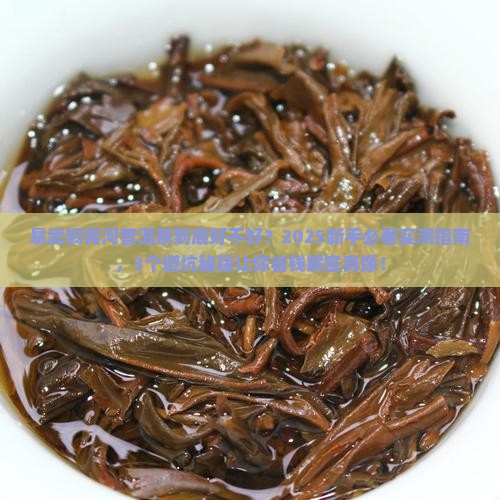 易武铜箐河普洱茶好吗