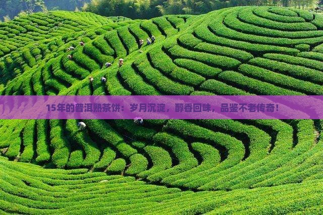 15年的普洱熟茶饼