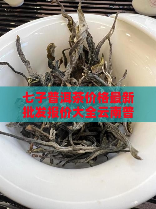 七仔普洱茶价格