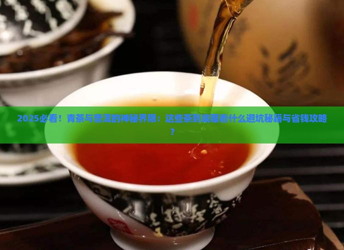 什么青茶不能做成普洱茶