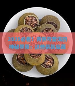 什么青茶不能做成普洱茶