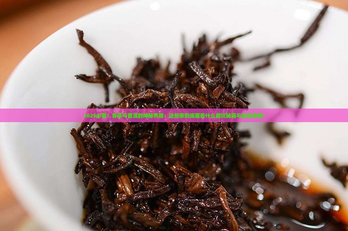 什么青茶不能做成普洱茶
