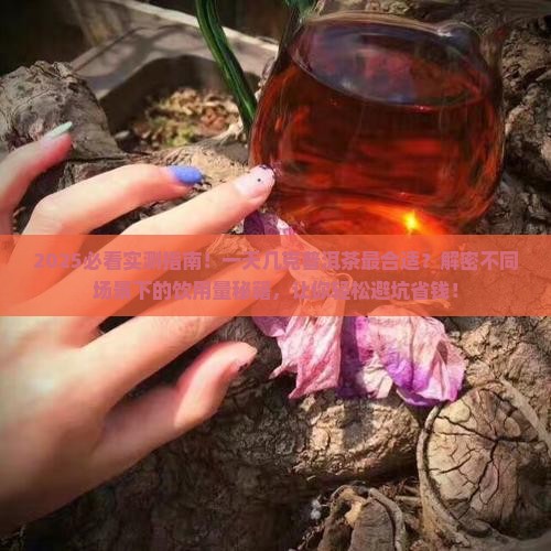 一天饮几克普洱茶
