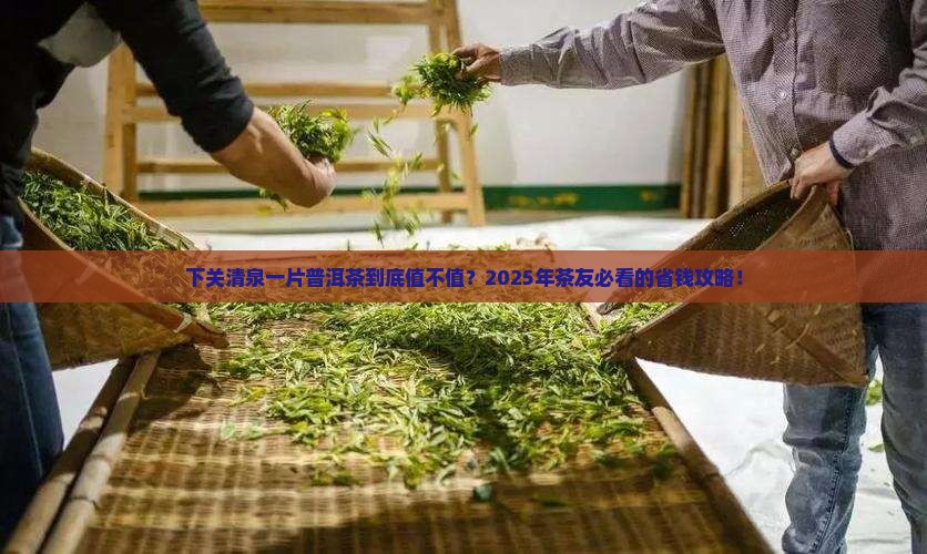 下关清泉一片普洱茶价格