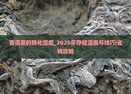 普洱茶的转化温度