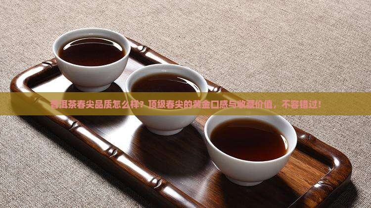 普洱茶春尖品质怎么样