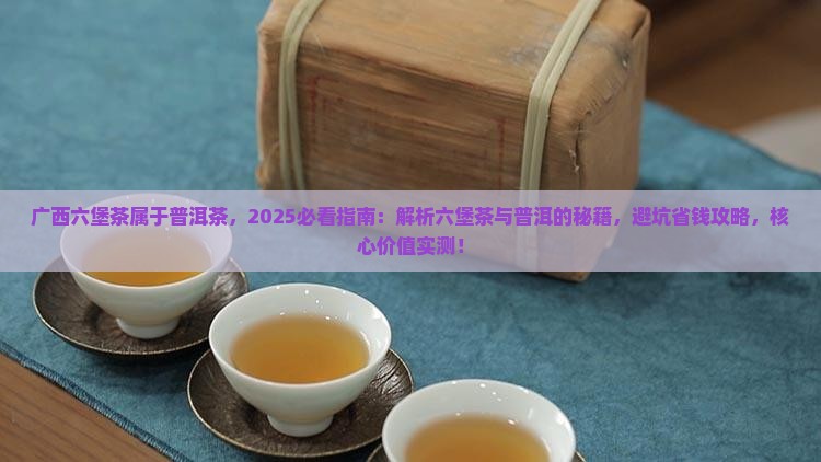 广西六堡茶属于普洱茶