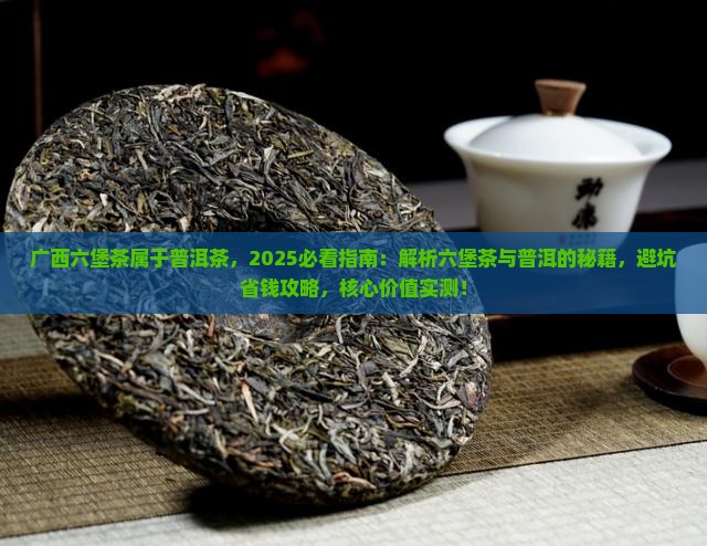 广西六堡茶属于普洱茶