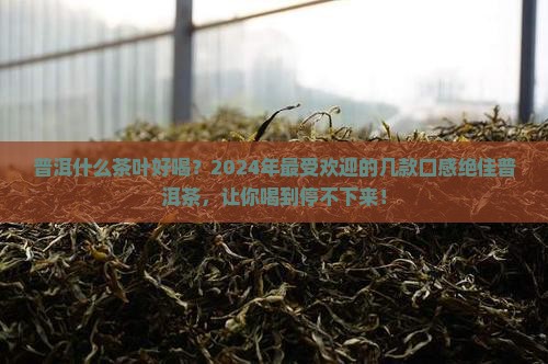 普洱什么茶叶好喝