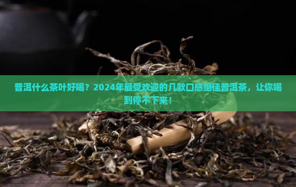 普洱什么茶叶好喝
