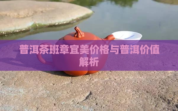 班章普洱茶宜美