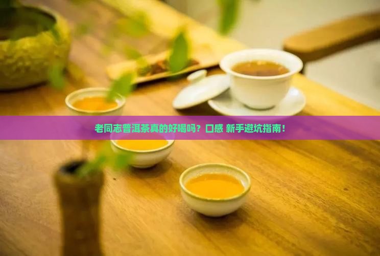 老同志普洱茶的口感描述
