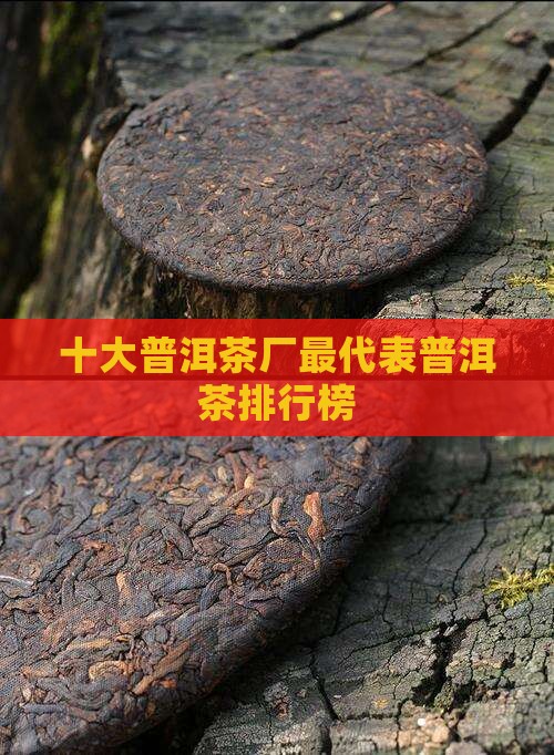 各普洱茶厂最代表茶