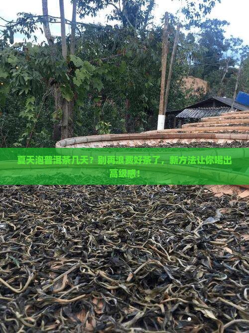 普洱茶夏天泡几天比较好
