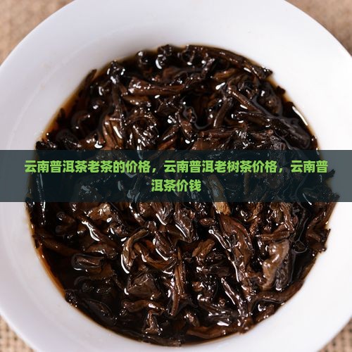 云南普洱茶老茶的价格