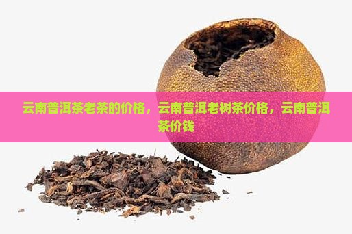 云南普洱茶老茶的价格