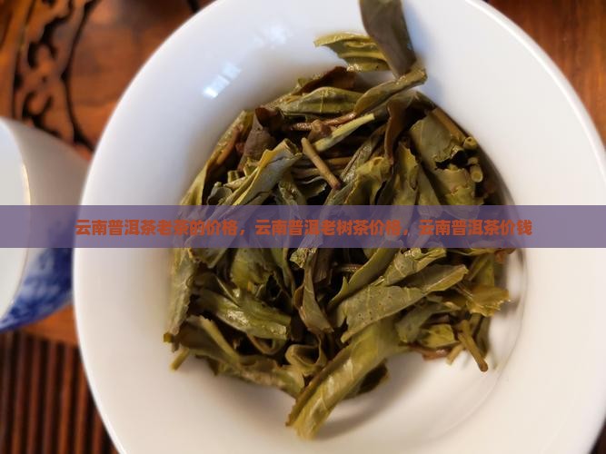 云南普洱茶老茶的价格