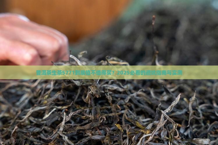 普洱茶生茶5771
