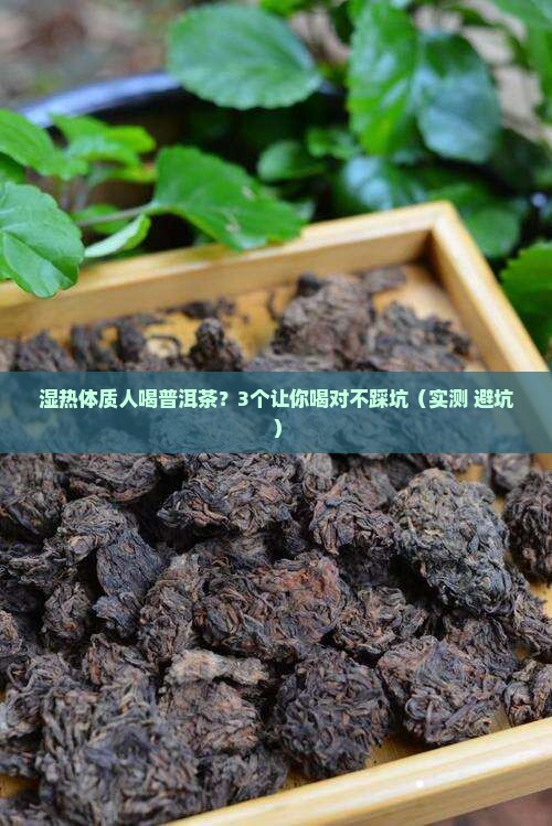湿热体质人喝普洱茶