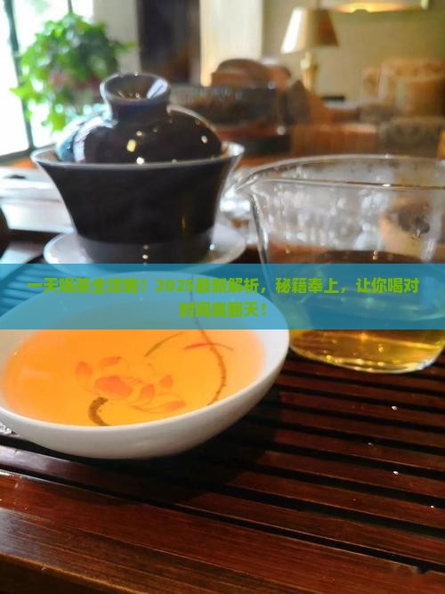 一天当中适合喝什么茶