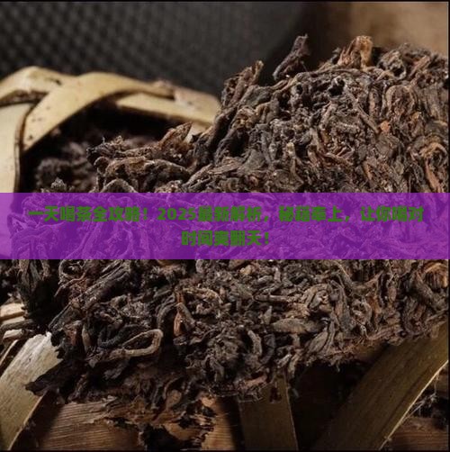 一天当中适合喝什么茶