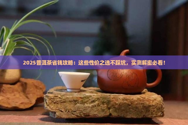 性价比较好的普洱茶有哪些