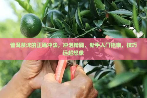 普洱茶沫的正确冲法