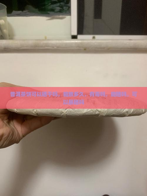 普洱茶饼可以晒干吗