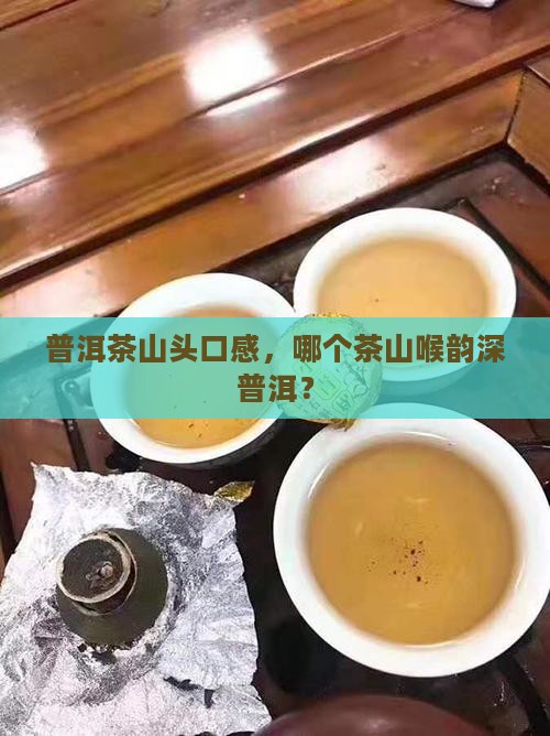 什么山头普洱茶喉韵深