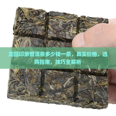 龙园印象普洱茶多少钱一条