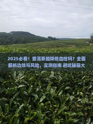 普洱茶有降低血栓的功效吗