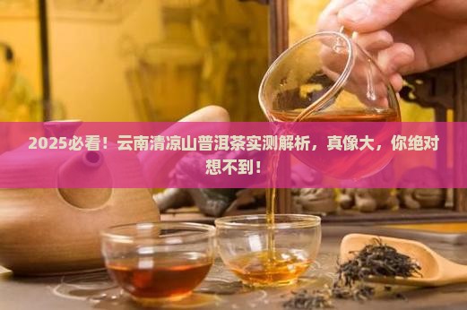 云南清凉山普洱茶怎么样