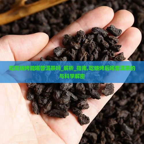 吃完烧烤能喝普洱茶吗