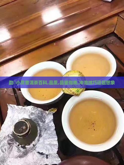 勐曌小贡普洱茶百科