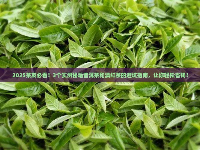 普洱茶和滇红茶的什么不同