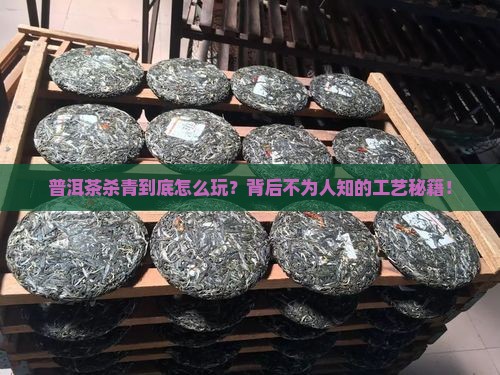 如何看普洱茶杀青工艺