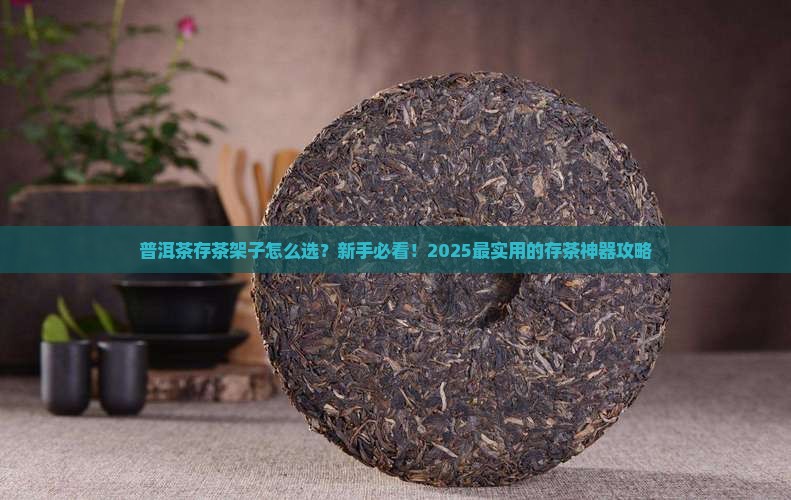 普洱茶存茶架子
