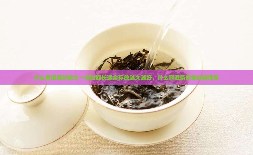 什么普洱茶好放