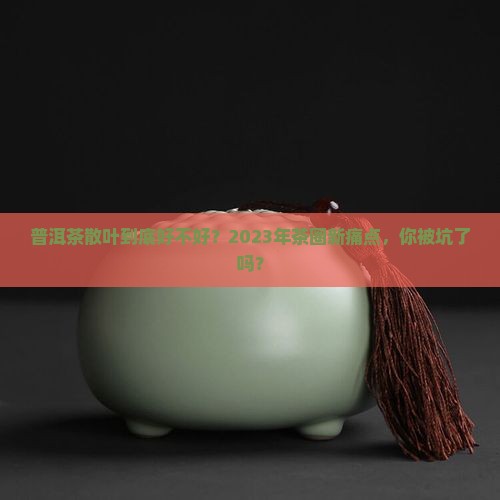 普洱茶散叶的好不好