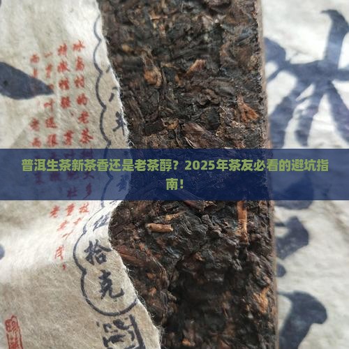 普洱生茶新茶好还是老茶好