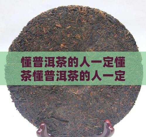 懂普洱茶的人一定懂茶