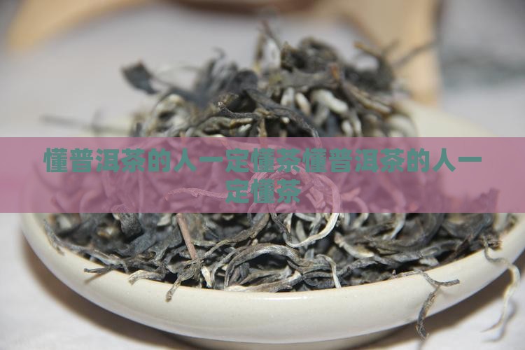 懂普洱茶的人一定懂茶