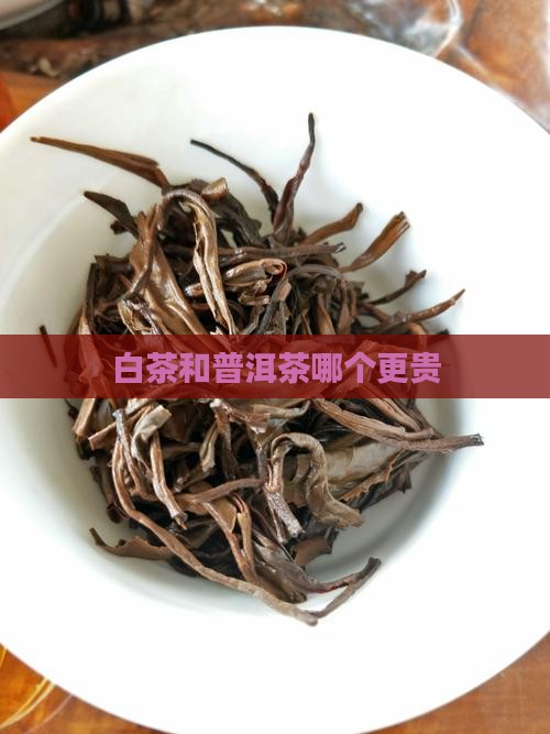 白茶和普洱茶哪个更贵