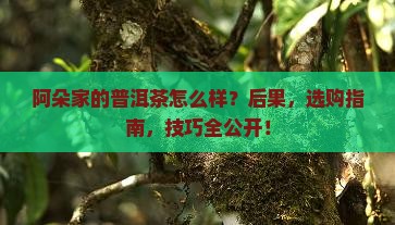 阿朵家的普洱茶怎么样