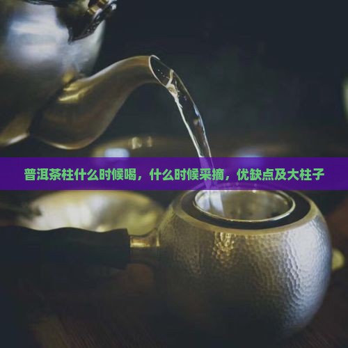 普洱茶柱什么时候